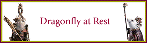 Dragonfly at Rest