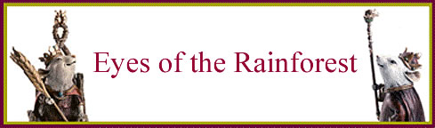 Eyes of the Rainforest