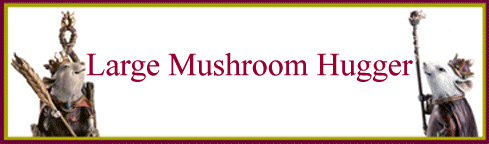 Large Mushroom Hugger