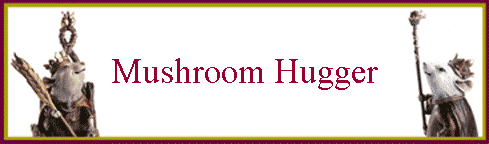 Mushroom Hugger