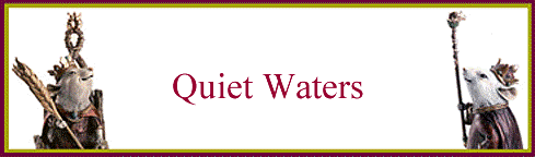 Quiet Waters