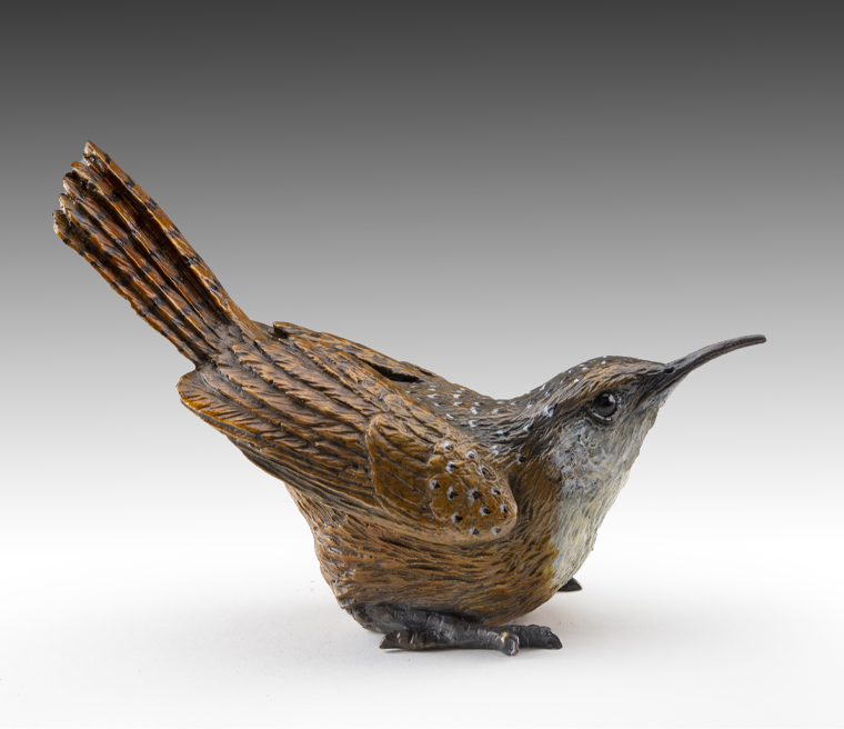 Canyon Wren