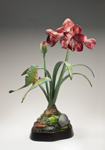 Amaryllis Moon