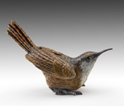Canyon Wren