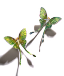 Luna Pair